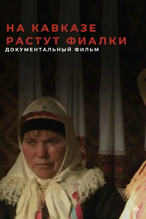 Violets Blossom in the Caucasus