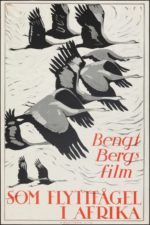 As a Migratory Bird in Africa
