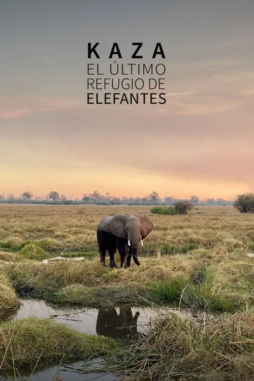 Kaza: The Last Refuge of Elephants