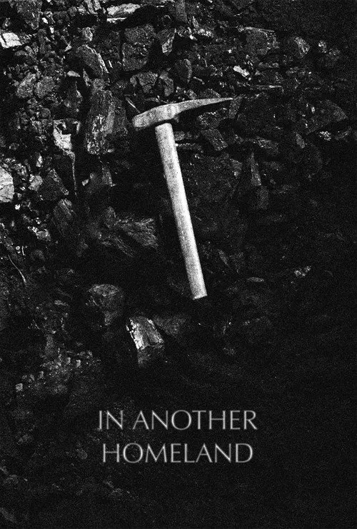 In Another Homeland