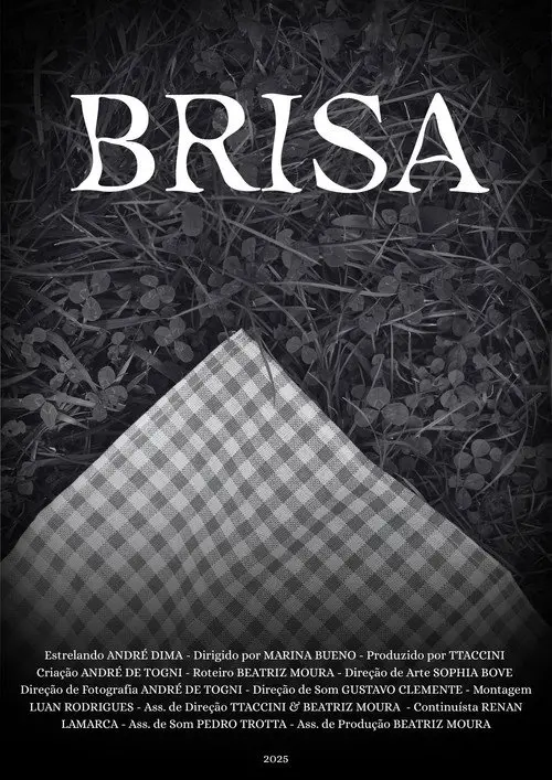 Brisa