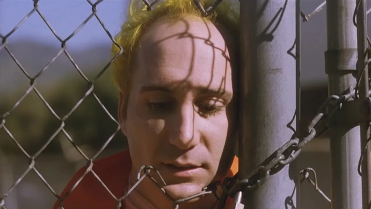 The Thin Pink Line backdrop