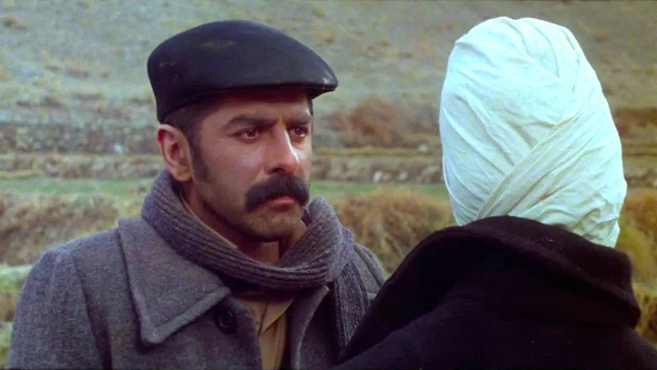 Tall Shadows of the Wind backdrop