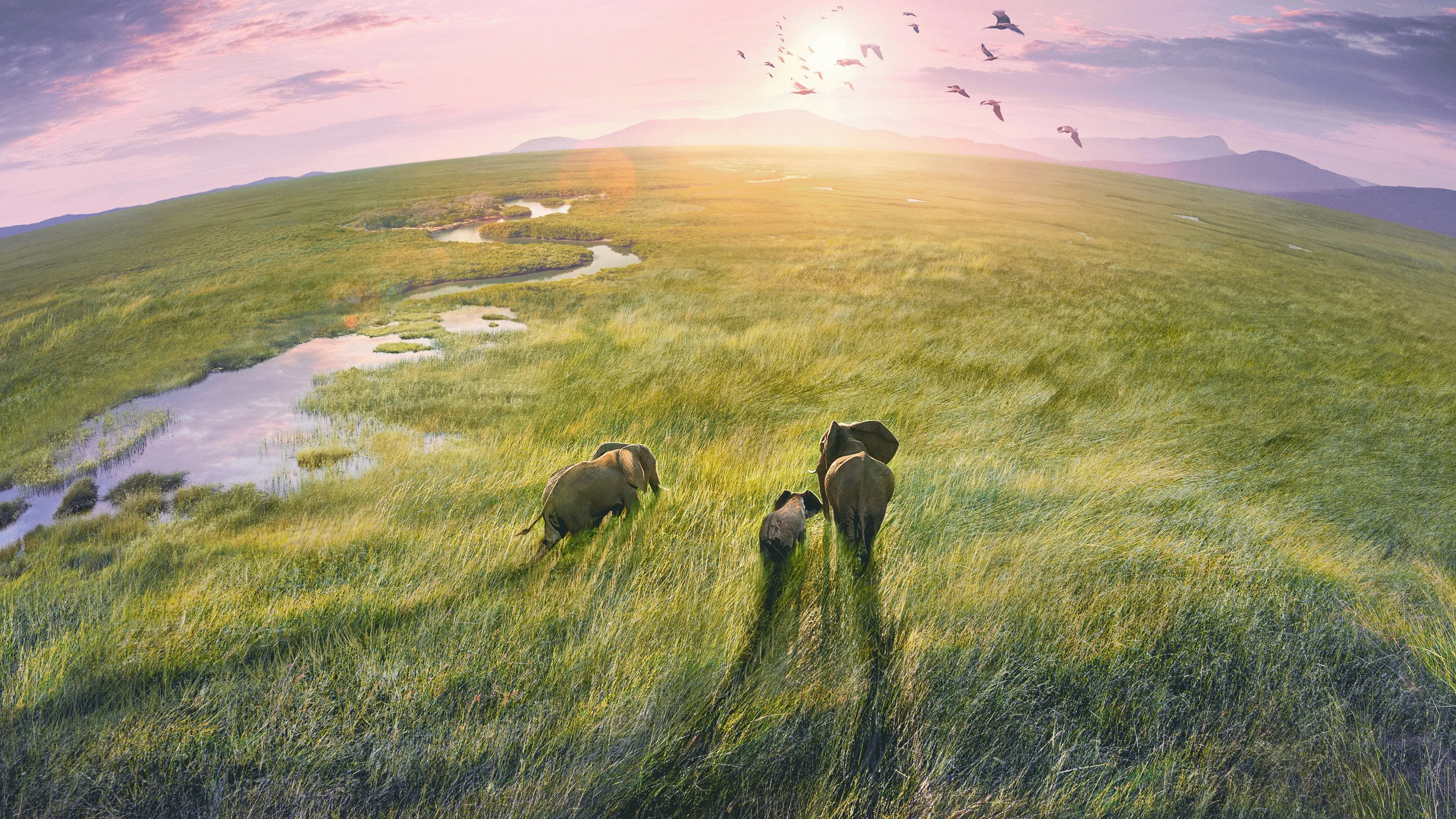 Planet Earth III backdrop