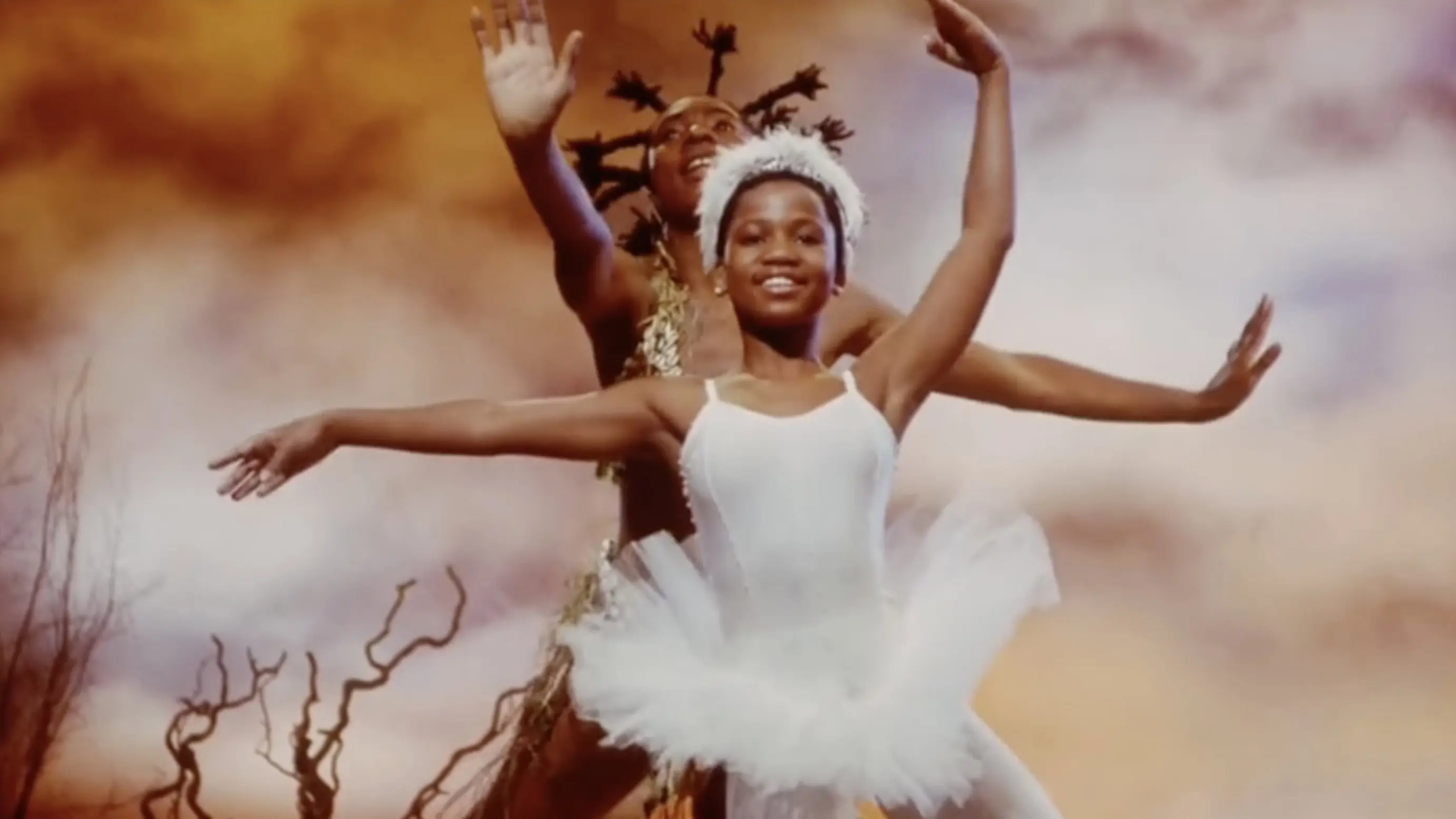 Flight of the Swan backdrop