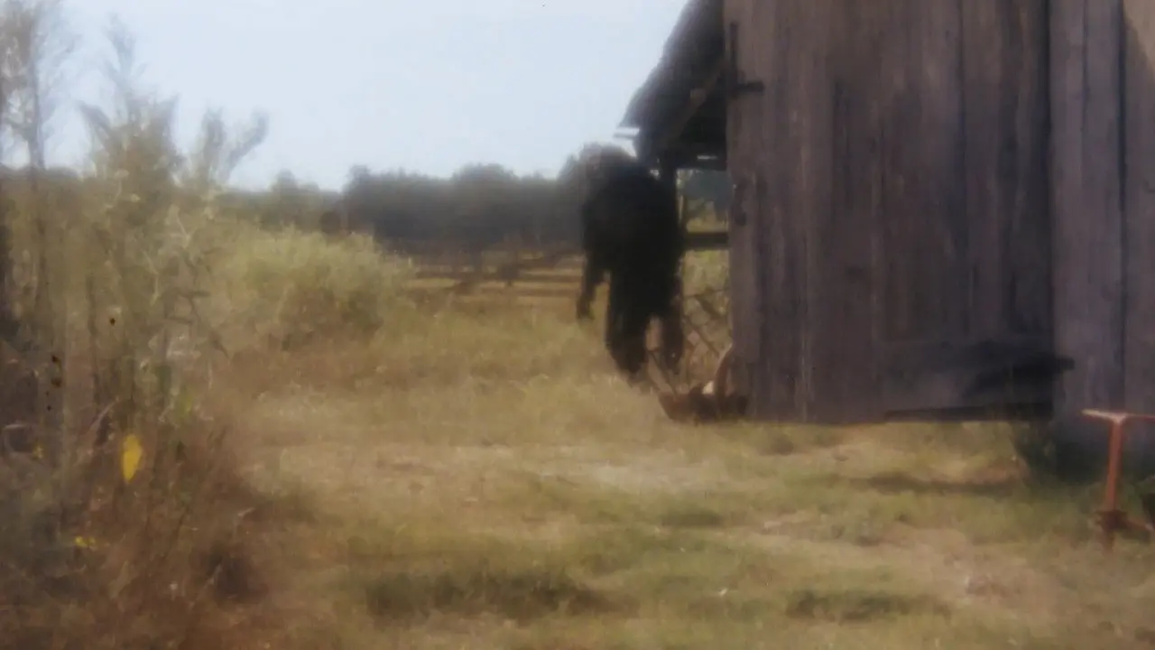 Boggy Creek II: And the Legend Continues backdrop