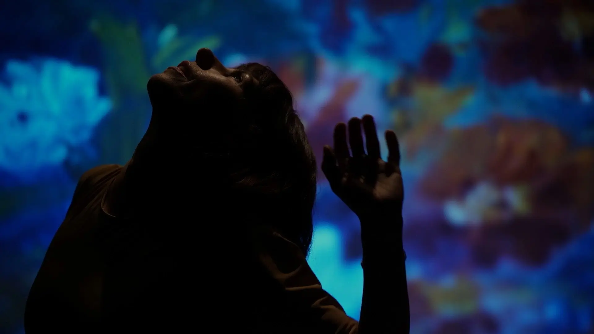 Still Nature backdrop