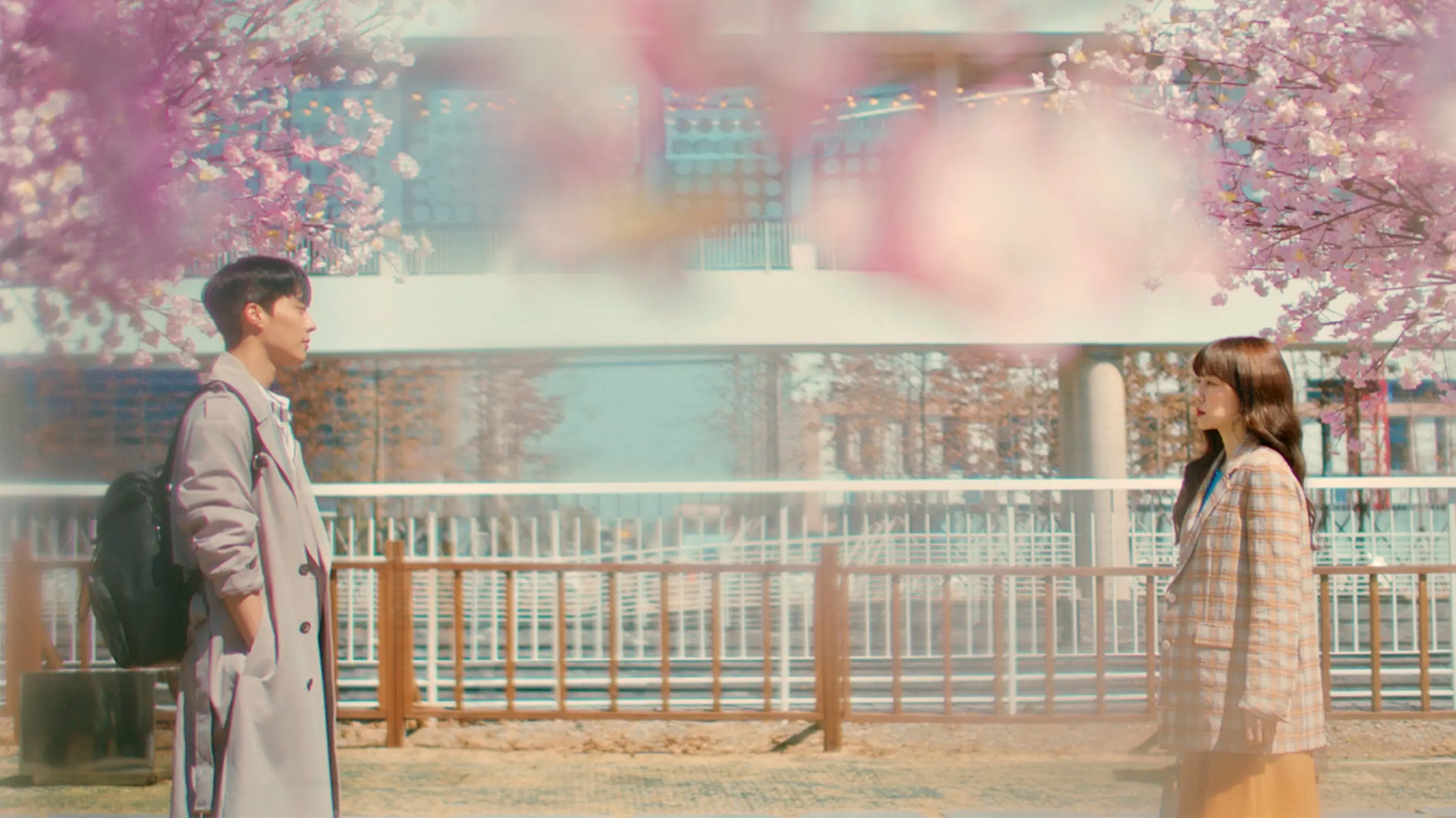 Search: WWW backdrop