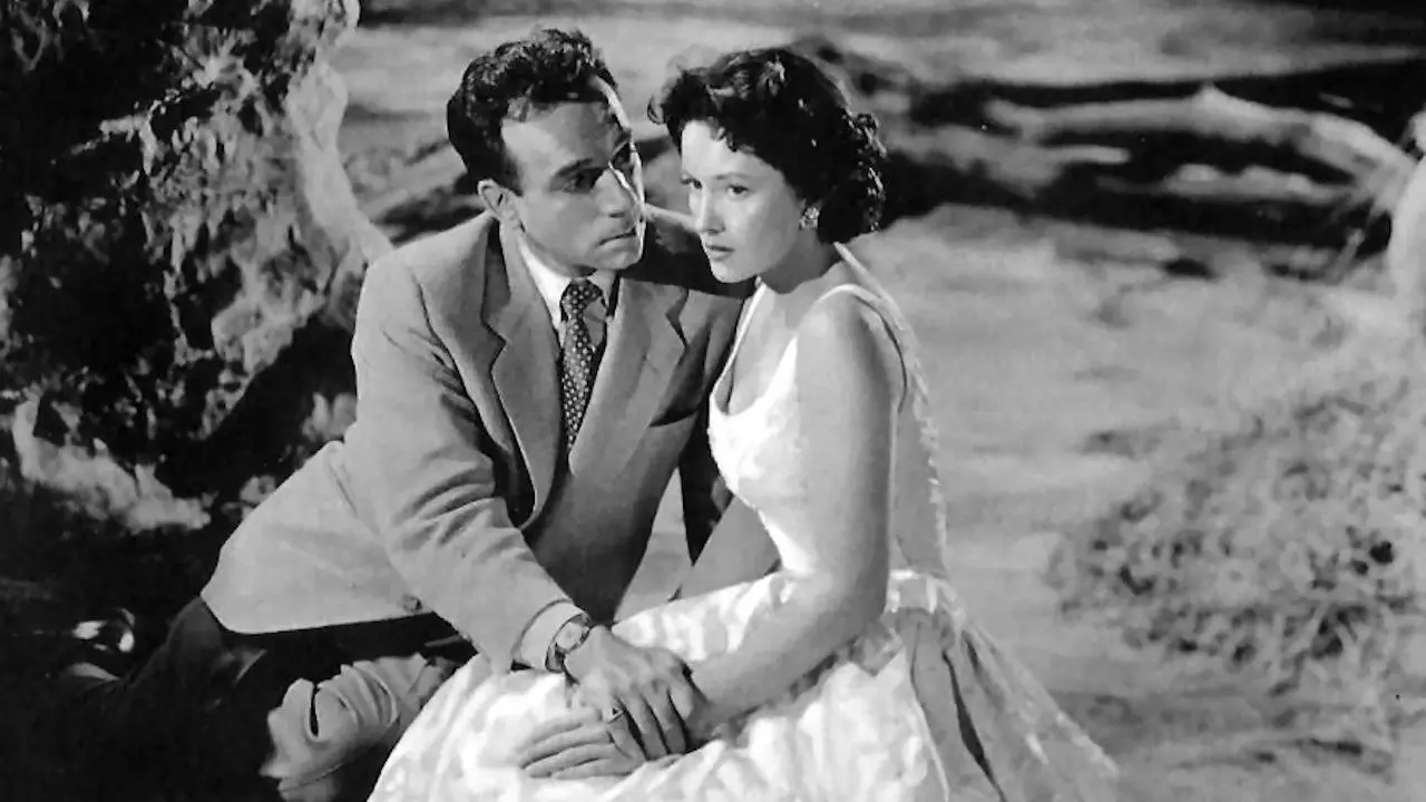 The Man Is Armed backdrop