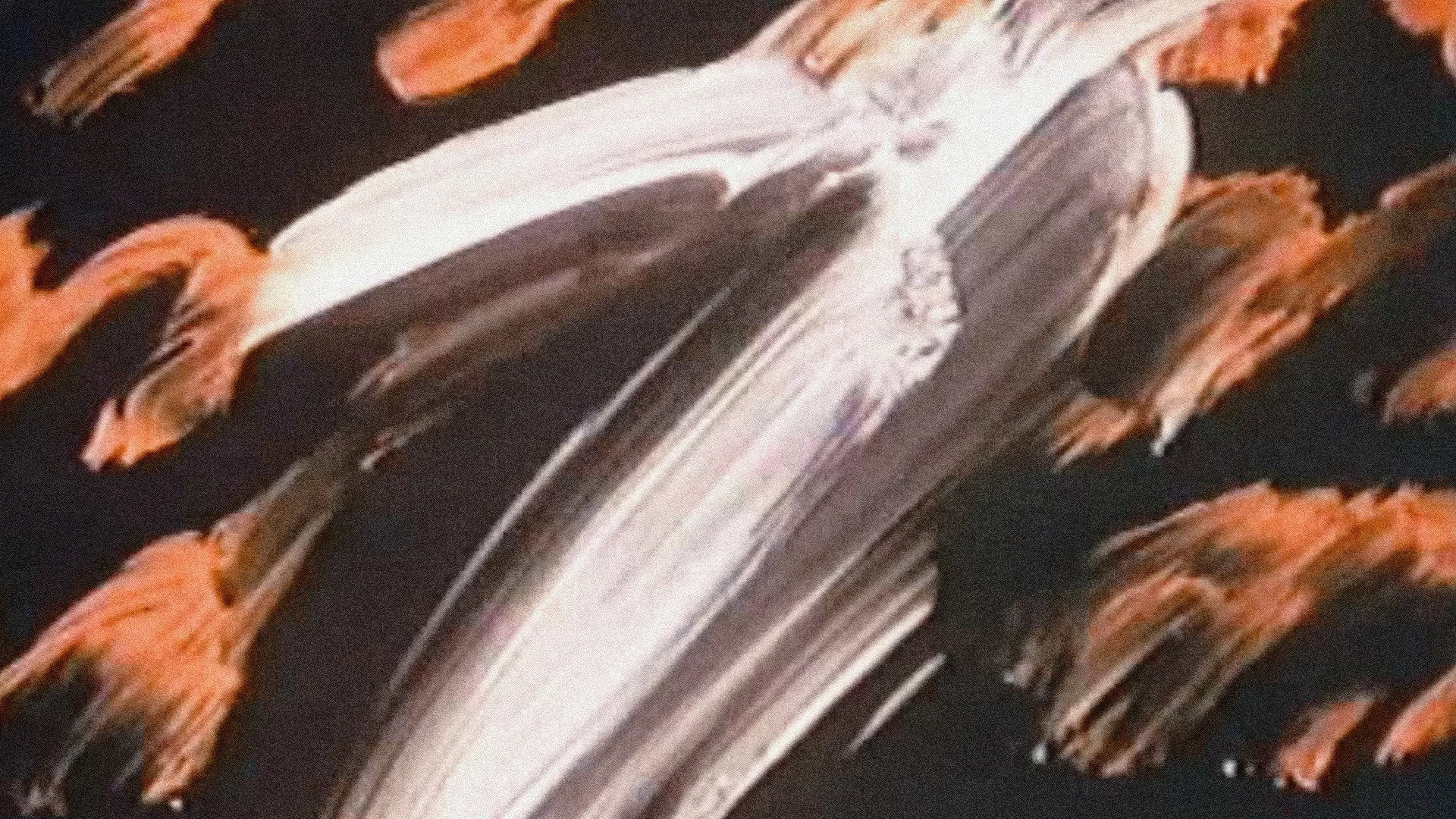 Academy Leader Variations backdrop