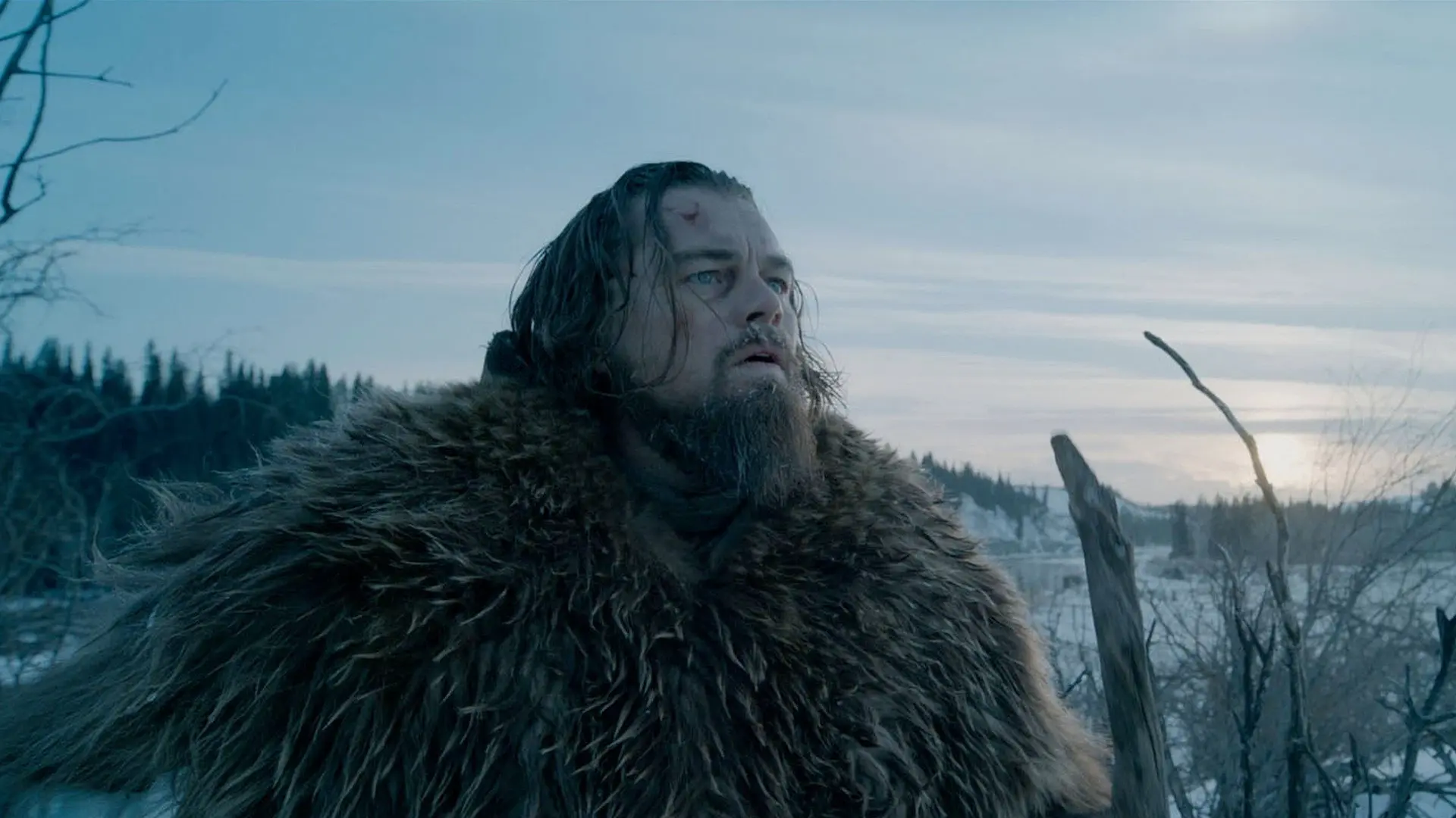 The Revenant backdrop