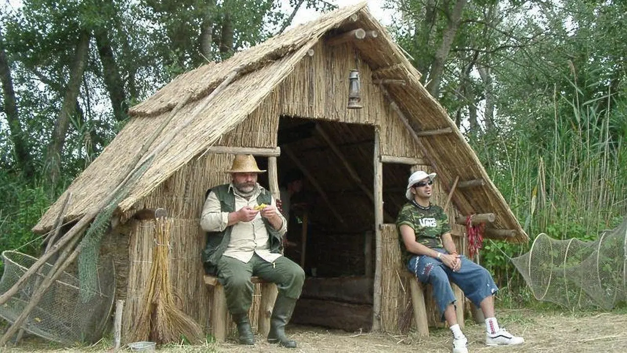 Thorn Castle backdrop