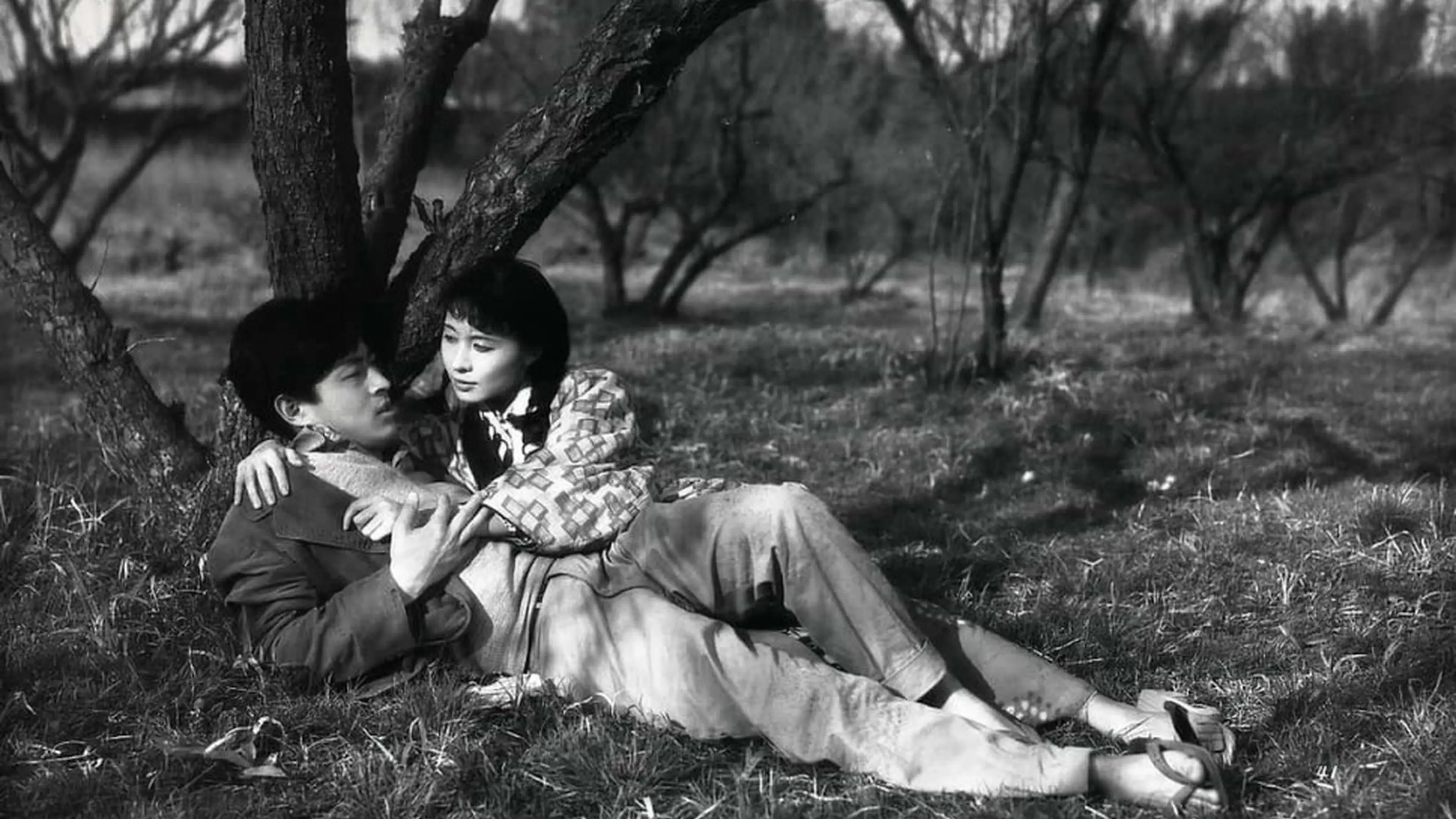 Stolen Desire backdrop