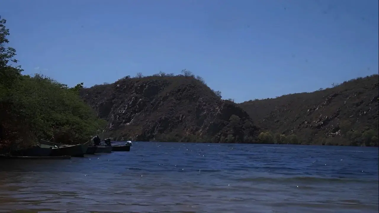 As Curvas da Estrada backdrop