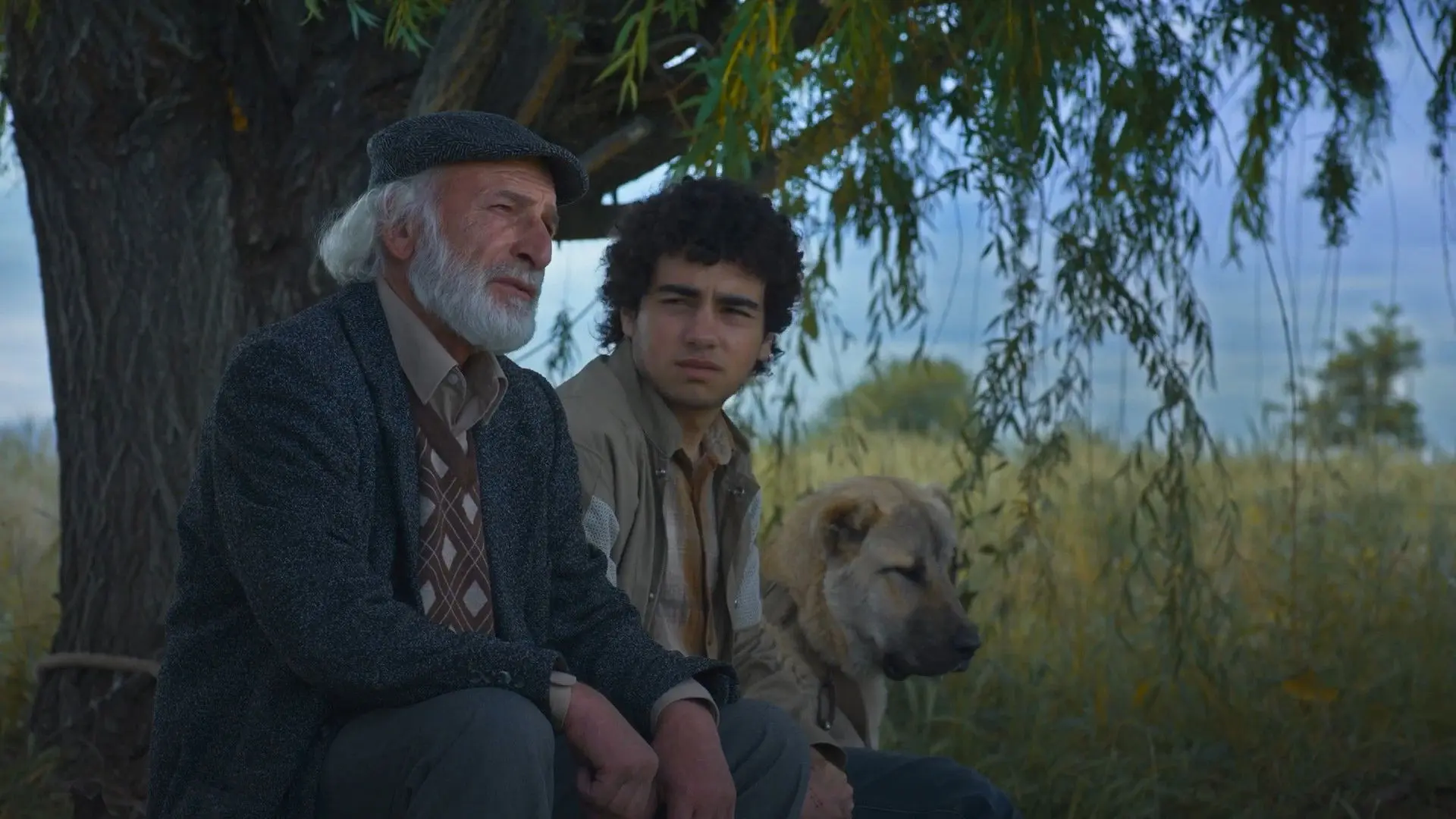 Island Ararat backdrop