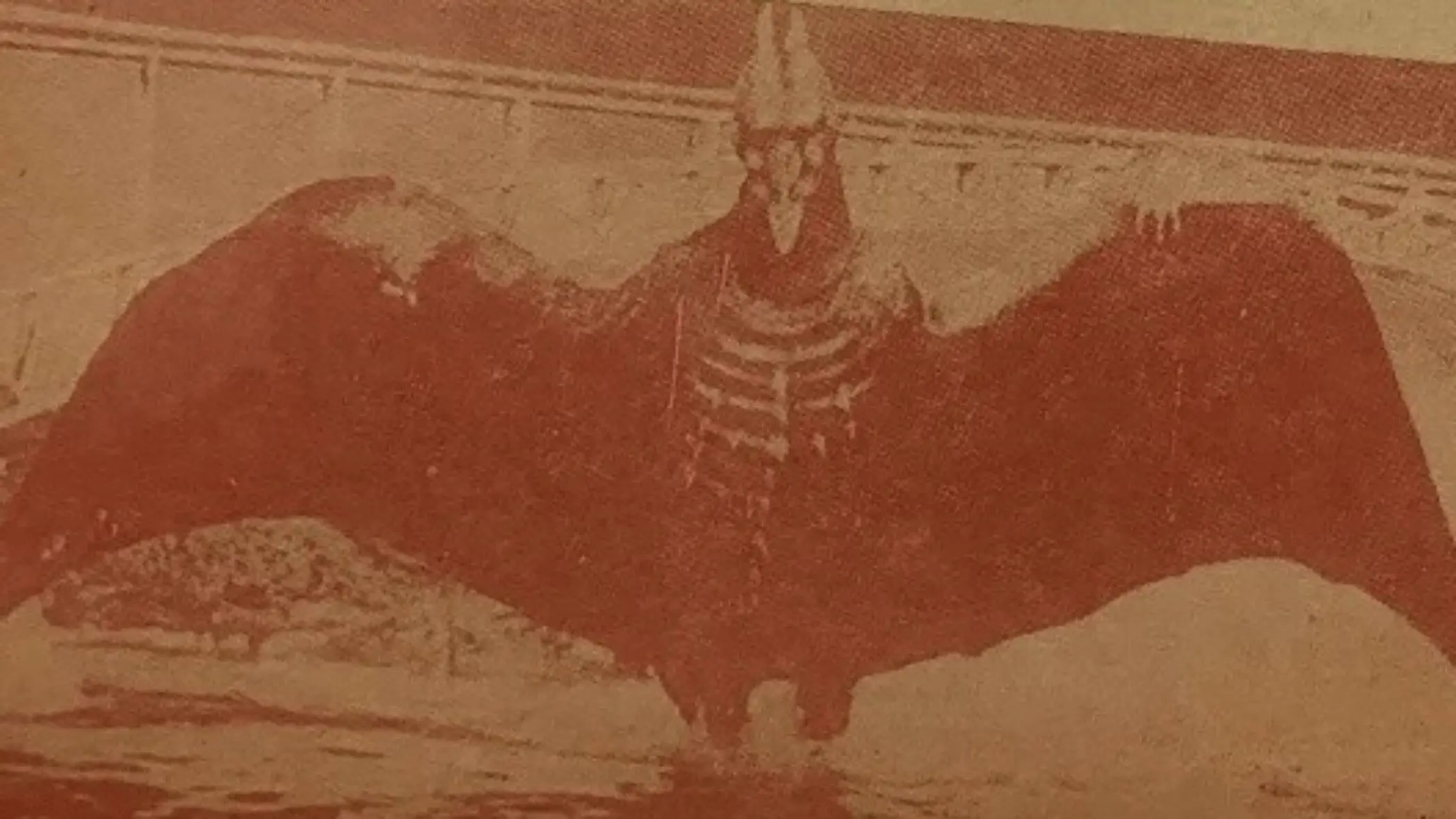Bloodthirsty Hawk backdrop