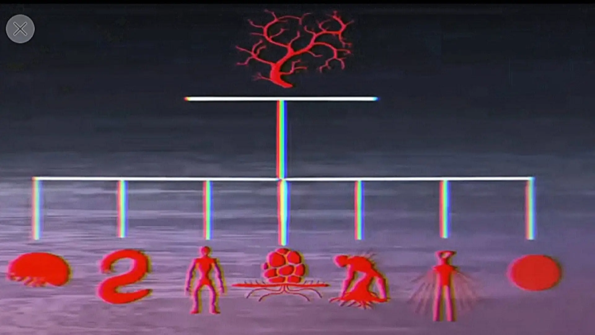Vita Carnis - Living Meat Documentary backdrop