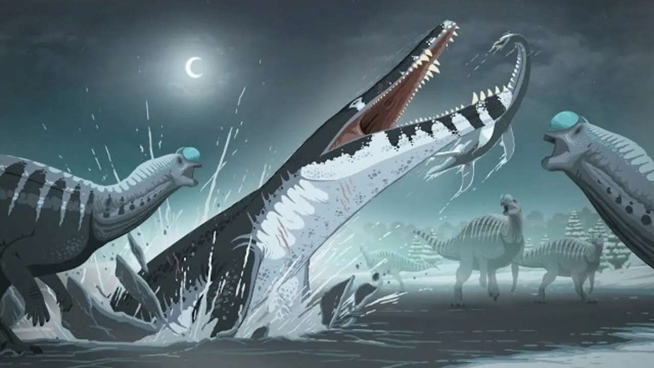 Monsters Down Under backdrop