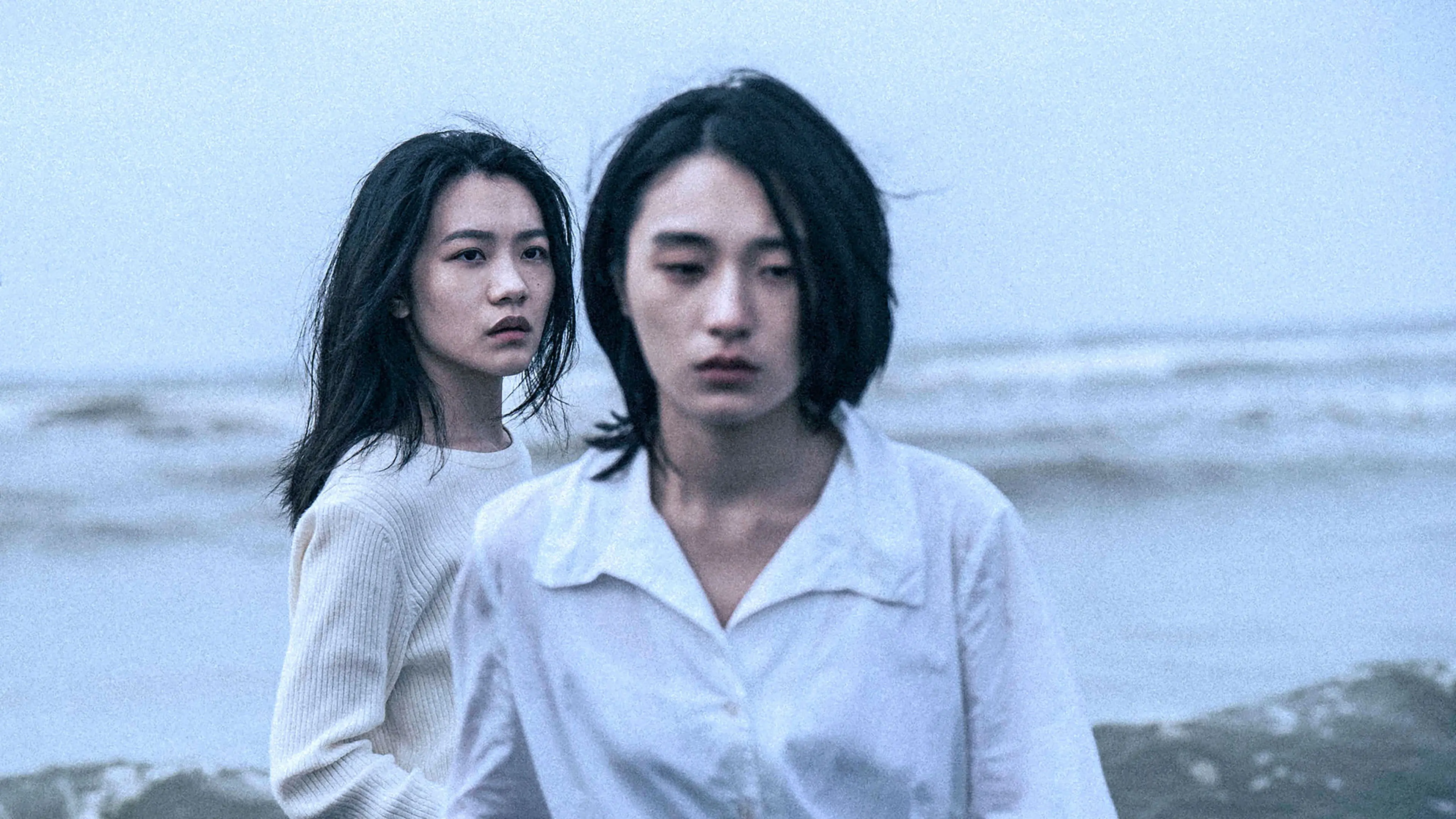 Who'll Stop the Rain backdrop