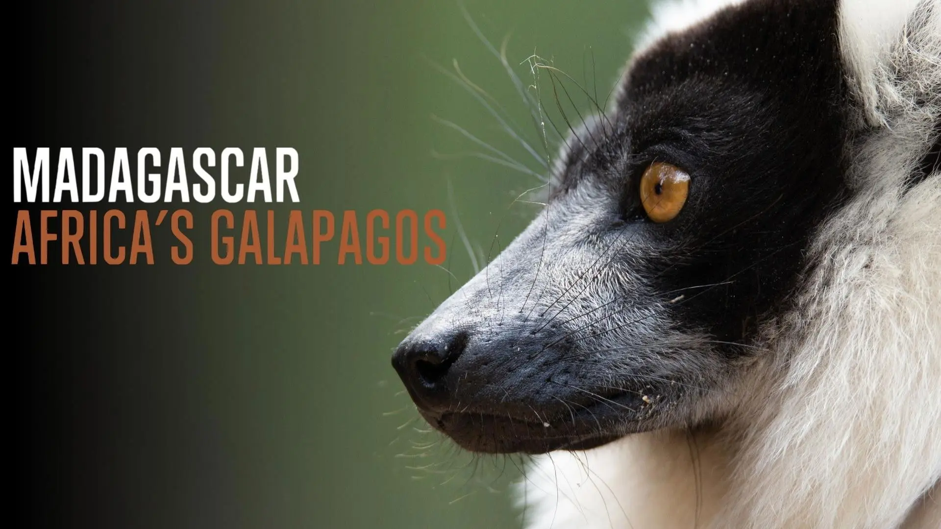Madagascar: Africa's Galapagos backdrop