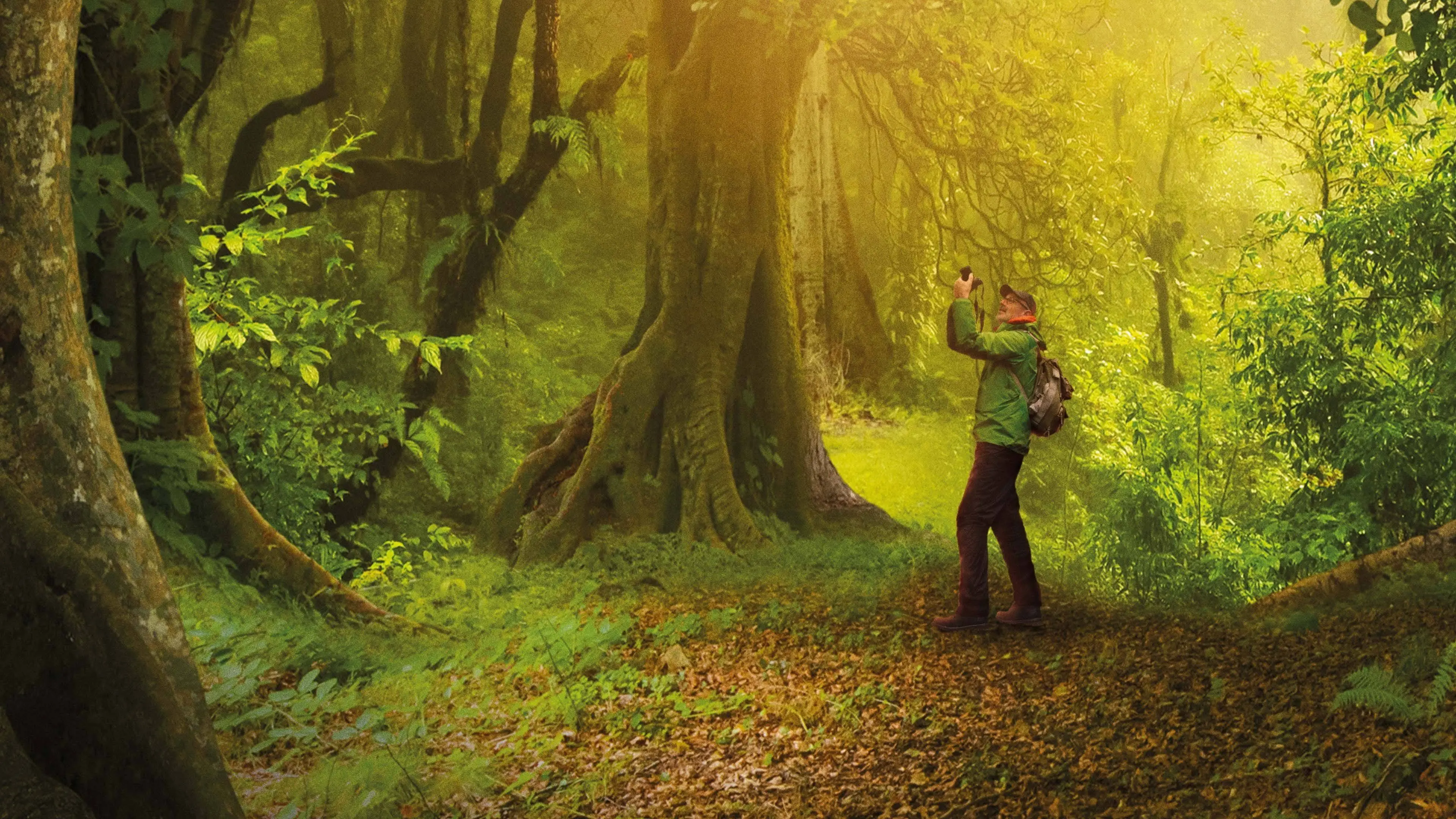 The Hidden Life of Trees backdrop