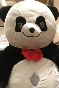 Andreza Giant Panda