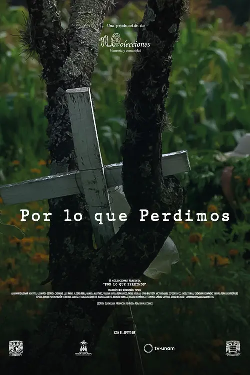 Por lo que Perdimos