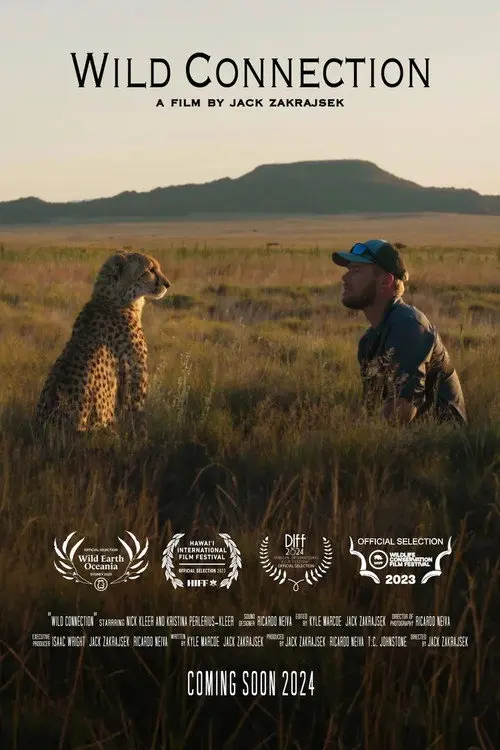 Wild Connection
