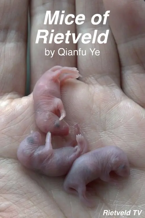 Mice of Rietveld