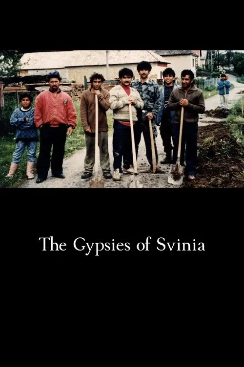 The Gypsies of Svinia