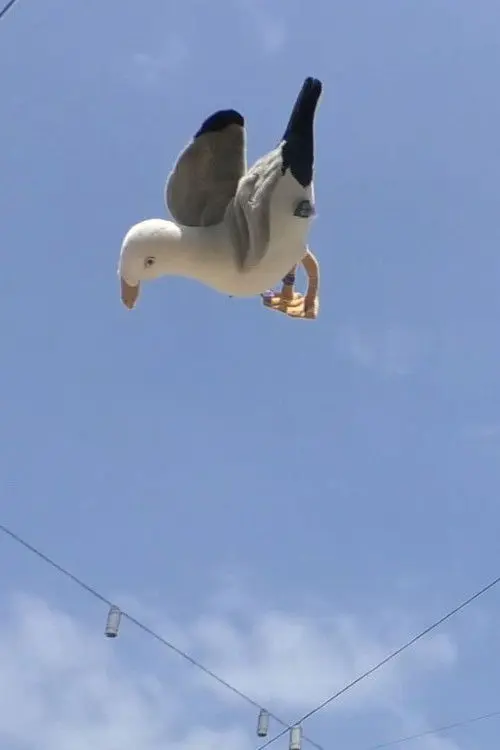 Double Jump