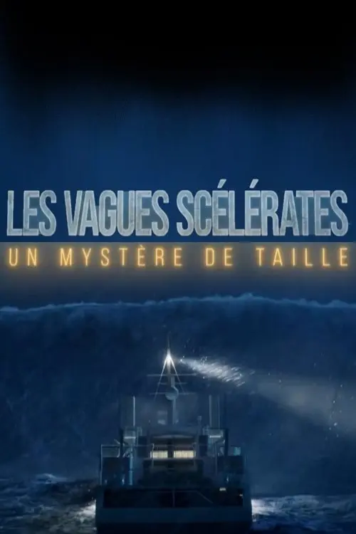 Les vagues scélérates un mystère de taille
